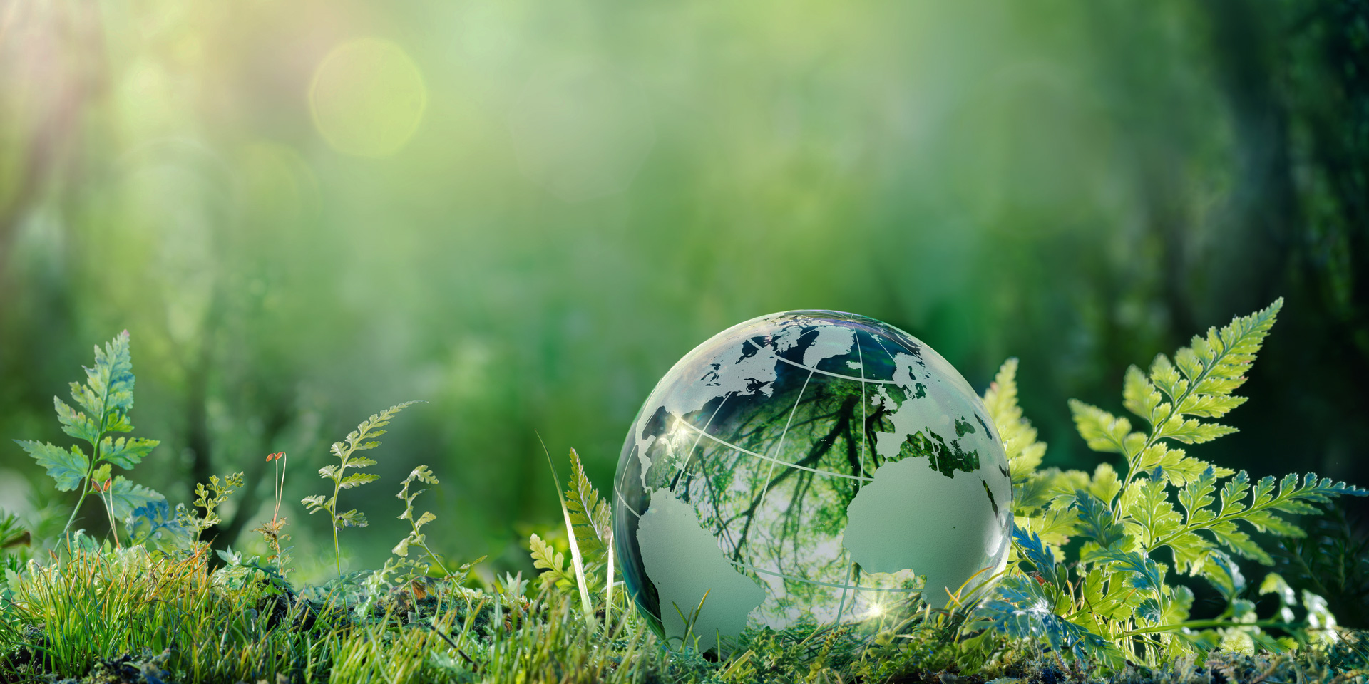 環(huán)境綜合治理整體解決方案服務商